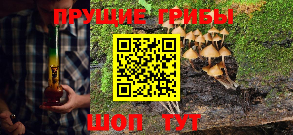 Псилоцибиновые грибы ЛСД  Вход с VPN  Чернушка  дарнет шоп  Псилоцибиновые грибы мицелий 